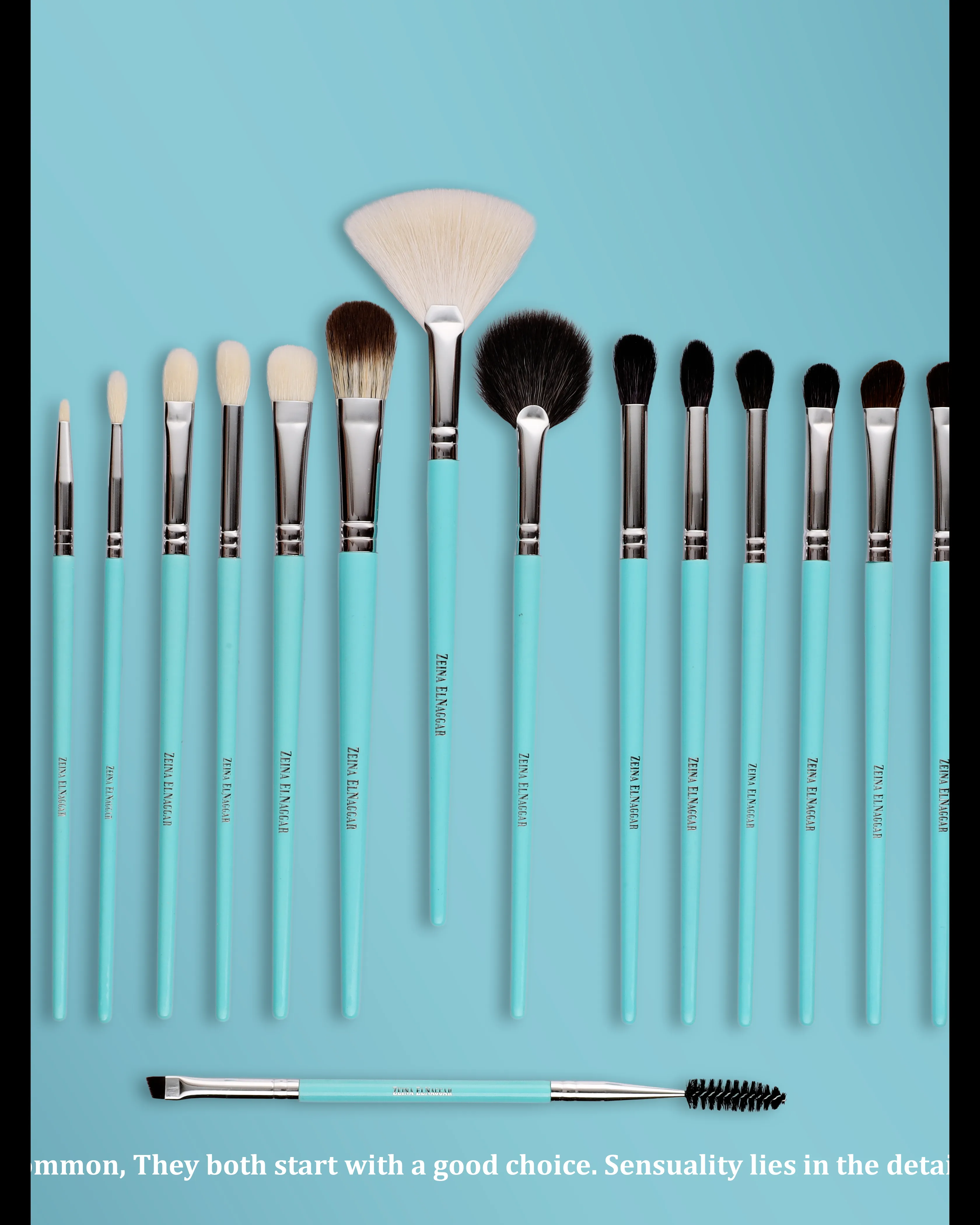 Zeina El Nagar Makeup  brusuhes (40 professional Set)